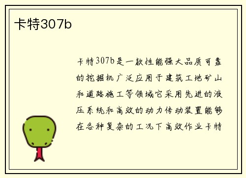卡特307b